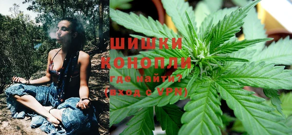 индика Алзамай