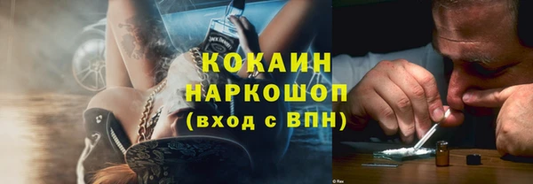 индика Алзамай