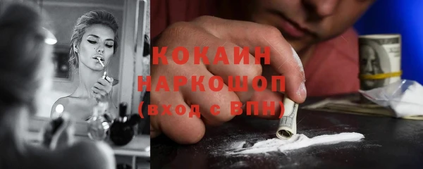 индика Алзамай
