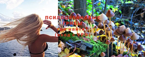 первитин Алексеевка
