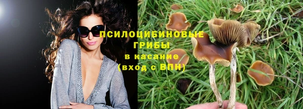 первитин Алексеевка