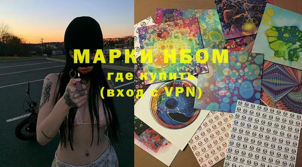 индика Алзамай